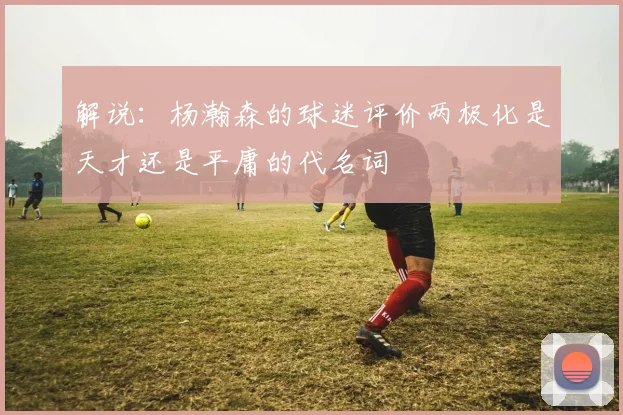 解说：杨瀚森的球迷评价两极化是天才还是平庸的代名词