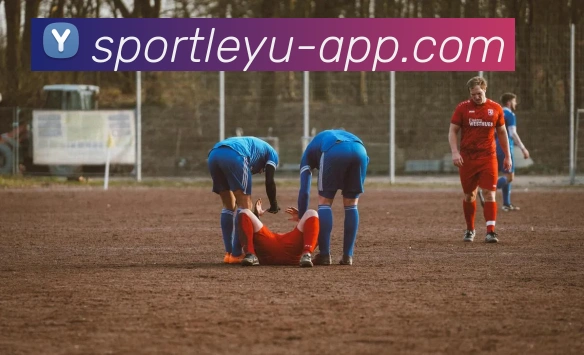 乐鱼体育APP 封面图